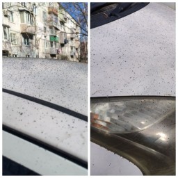 Котельная на Рыбацкой улице загрязняет воздух в Находке