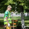 Губернатор поручил вовлечь белгородские частные компании в летнее трудоустройство детей