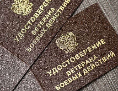 Правительство уточнило, кто имеет право на статус ветерана боевых действий