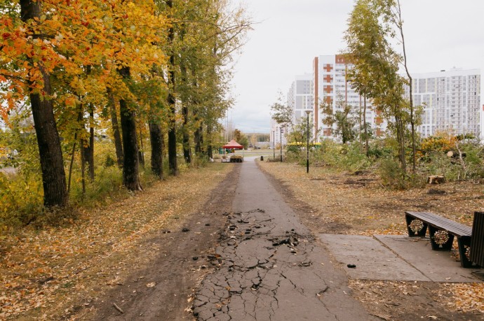 Жителям Пензы предложили выбрать зоны отдыха, которые преобразятся в 2027 году