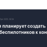 Эстония планирует создать "стену" против беспилотников к концу 2027 года
