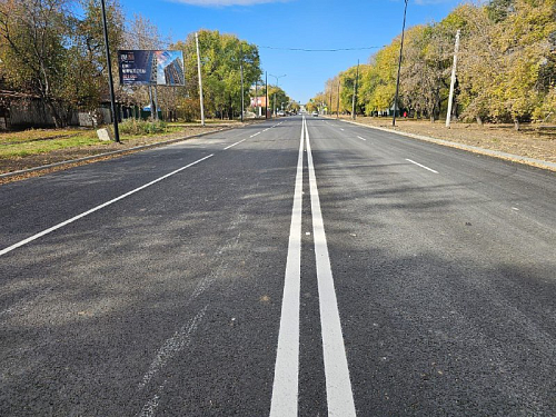 Участок Горького открыли в Благовещенске Участок Горького открыли в Благовещенске