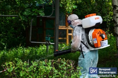 Под Магнитогорском ввели карантин