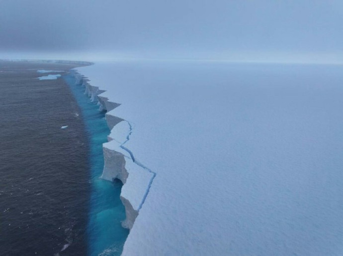 ААНИИ: Айсберг А23а площадью в два Петербурга может скоро растаять