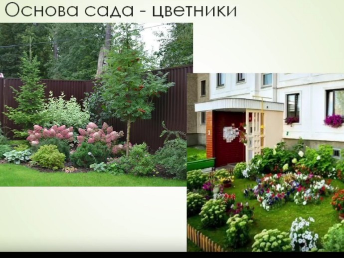 Олег Валенчук: Школа садоводов открывает новые горизонты Олег Валенчук: Школа садоводов открывает новые горизонты