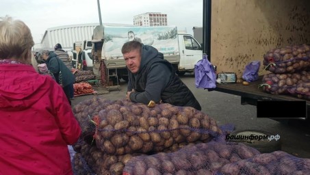 Сельхозярмарки в Башкирии будут идти пять дней