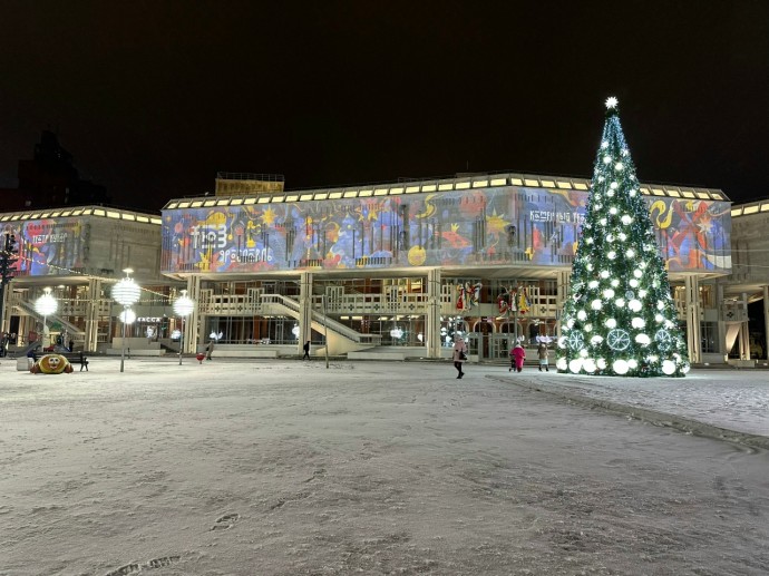 Глава областного минкульта прокомментировала закрытие ТЮЗа в Ярославле
