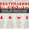 В Ярославской области введены меры для защиты лесов от пожаров