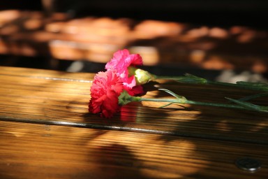 Названа дата похорон актера Анатолия Меньщикова