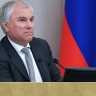 Вячеслав Володин пояснил важность принятия закона о праве регионов вводить запрет на продажу вейпов