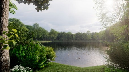 Стартовала реабилитация Новоясеневского пруда на юго-западе столицы