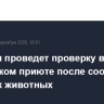 Полиция проведет проверку в ростовском приюте после сообщений о мертвых животных