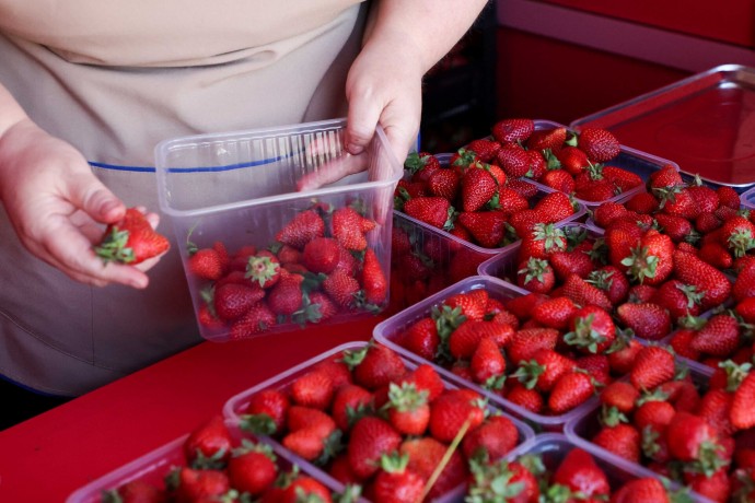 Ягодные мафиози вышли на охоту! Соседи могут остаться без денег Ягодные мафиози вышли на охоту! Соседи могут остаться без денег