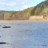В реках Башкирии продолжает повышаться уровень воды