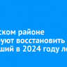 В Братском районе планируют восстановить сгоревший в 2024 году лес