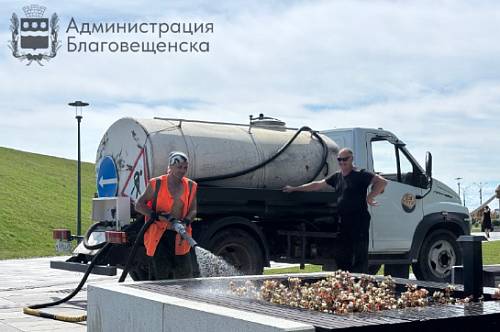 В Благовещенске подстригли живые изгороди и подсеяли газоны