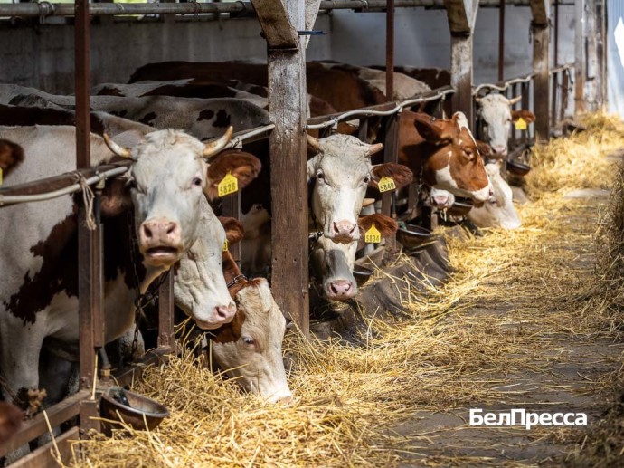 Белгородский губернатор сообщил об открытии в регионе уникального производства