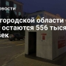 В Белгородской области без света остаются 556 тысяч человек