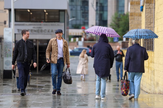 Насекомые в Москве уснули до следующей весны