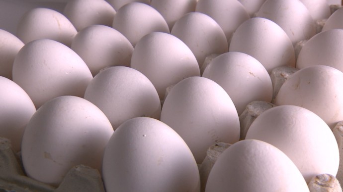 Австралийские ученые выявили пользу яиц для женщин в менопаузе