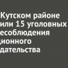 В Усть-Кутском районе возбудили 15 уголовных дел из-за несоблюдения миграционного законодательства