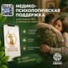 Единый федеральный чат медицинской психологической поддержки для участников СВО и членов их семей теперь доступен ВКонтакте