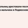 Двух школьниц арестовали после убийства мальчика в Подмосковье