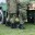 Более 30 мигрантов из Пермского края призваны на военную службу