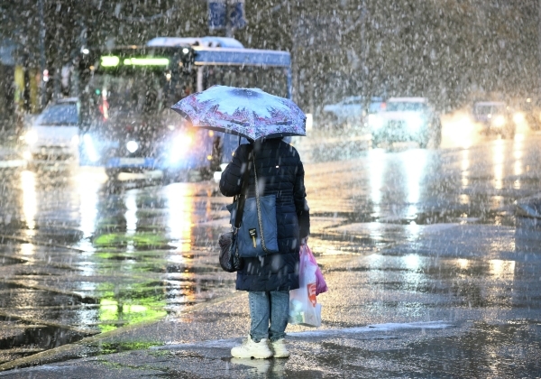 МЧС предупредило жителей столицы о мокром снеге и усилении ветра