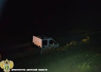 Шел на обгон: стали известны подробности смертельного ДТП с подростком на трассе в Приамурье