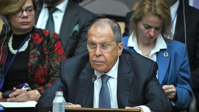 Россия будет добиваться того, чтобы мнение арабских стран звучало весомо Россия будет добиваться того, чтобы мнение арабских стран звучало весомо