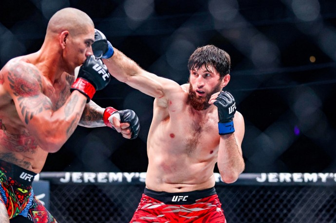 Анкалаев пообещал нокаутировать Перейру в главном бою турнира UFC 320