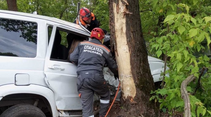 В Ярославле спасли девушку из врезавшегося в дерево автомобиля