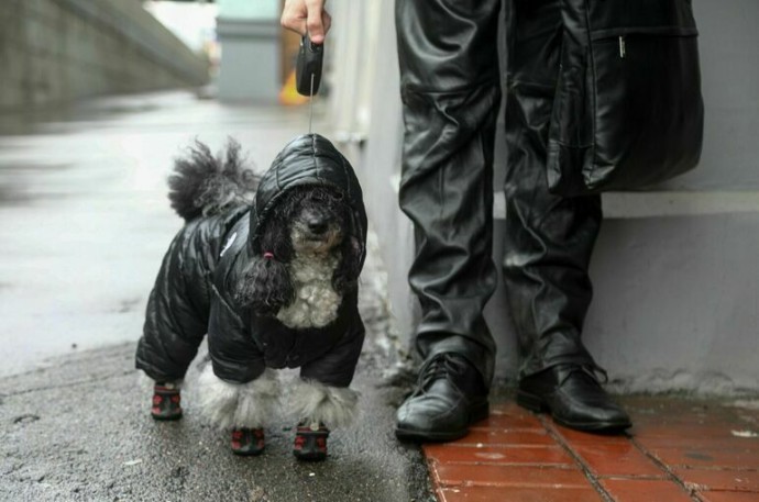 В Гидрометцентре рассказали, как долго продержится тепло в Москве и Подмосковье В Гидрометцентре рассказали, как долго продержится тепло в Москве и Подмосковье