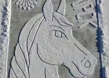 В Белогорске создали снежную открытку с символом наступающего года В Белогорске создали снежную открытку с символом наступающего года