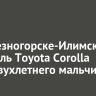 В Железногорске-Илимском водитель Toyota Corolla сбил двухлетнего мальчика