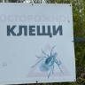 В Башкирии более 5,5 тысячи человек подверглись опасности