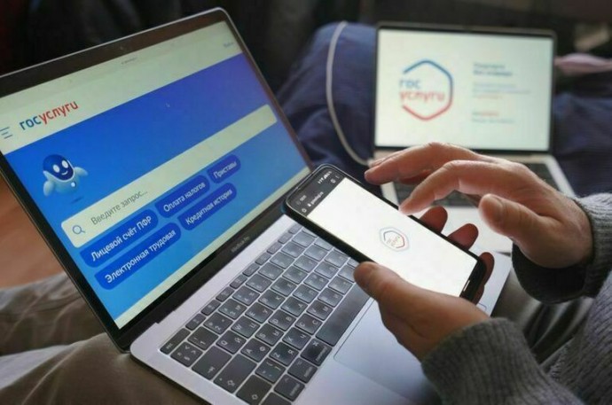 Минцифры предложило тариф для бизнеса за пользование электронным правительством
