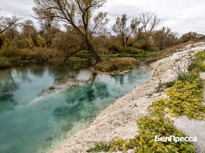 В Вейделевке благоустраивают родник «Крейдянка» В Вейделевке благоустраивают родник «Крейдянка»
