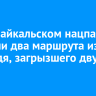 В Прибайкальском нацпарке закрыли маршруты из-за медведя, загрызшего двух собак