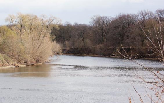 Под Курском выявили сброс нечистот сахарного завода в приток Сейма Под Курском выявили сброс нечистот сахарного завода в приток Сейма