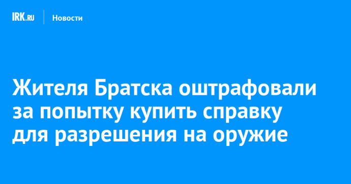 Жителя Братска оштрафовали за попытку купить справку для разрешения на оружие