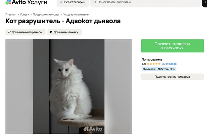 В Москве предлагают взять в аренду кота разрушителя за 666 рублей в минуту