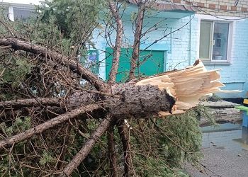 Мощная гроза обрушилась на Тамбовский округ Приамурья