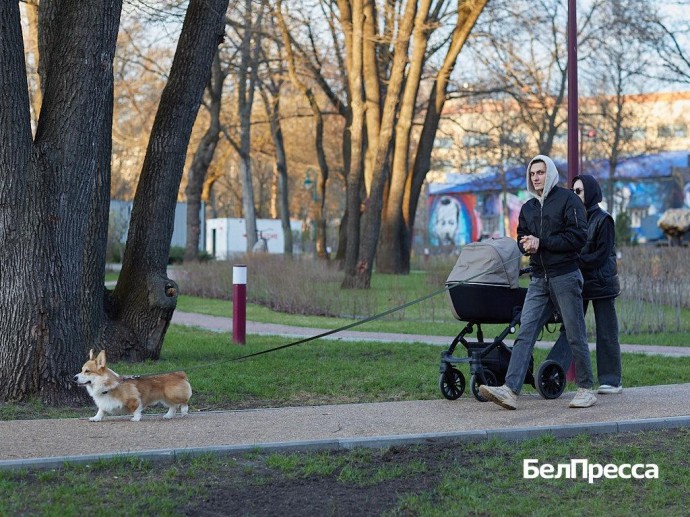 За столетие в Белгородской области родился только один мальчик с именем Май