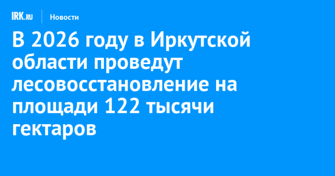 В 2026 году в Иркутской области проведут лесовосстановление на площади 122 тысячи гектаров