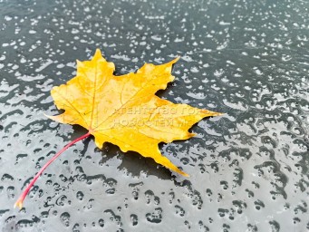 «Желтый» уровень опасности из-за снега с дождем объявлен в столичном регионе