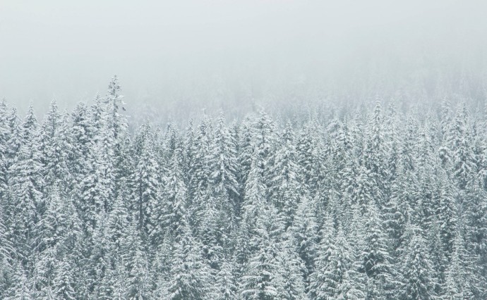 Снежно и пасмурно: прогноз погоды в Сахалинской области на 8 декабря