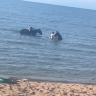 В Бурятии неизвестные помыли лошадей прямо в Байкале