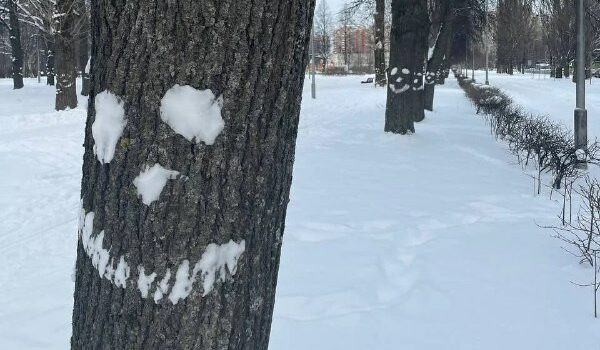 Настроение на всю рабочую неделю: неизвестный художник создал «Аллею улыбок» в Полюстровском парке